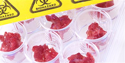 肉類加工行業(yè)金屬異物檢測